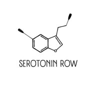 Serotonin Row - водный рогейн в Москве